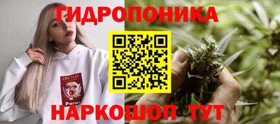 ECSTASY Сланцы