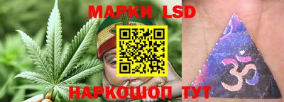 ECSTASY Сланцы